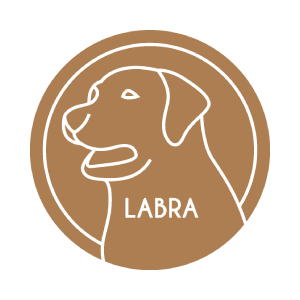 Labra Finance